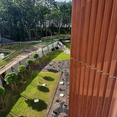 Pelen Slonca - Pinea 公寓 *