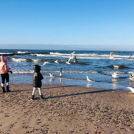 Apartment Pelen Slonca - Pinea *