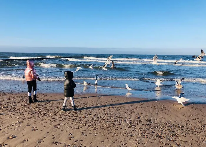 Lägenhet Pelen Slonca - Pinea *